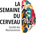 logo-140_semaineducerveau