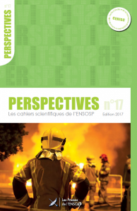 Parution du Perspectives N°17, consacré au management et au pilotage des organisations