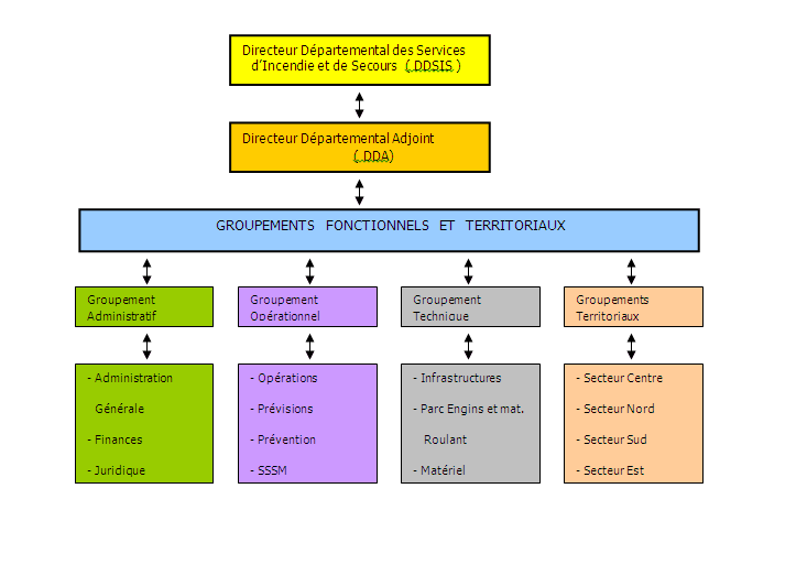 Organigramme