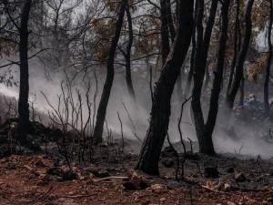 La recherche des causes et des circonstances de l'incendie (RCCI)