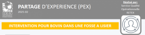 Partage d'Expérience du SDIS de l'Oise : Intervention pour bovin dans une fosse à lisier et engagement de moyens spécialisés