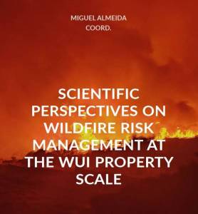 Scientific perspectives on wildfire risk management at the WUI property scale
