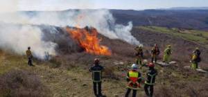 Mission des infirmiers sapeurs-pompiers au sein du groupe commando feu de forêt